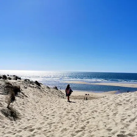 Mobil Luxueux De 3ch - La Pignade 4 Etoiles - Ronce-les-bains - Cote Atlantique