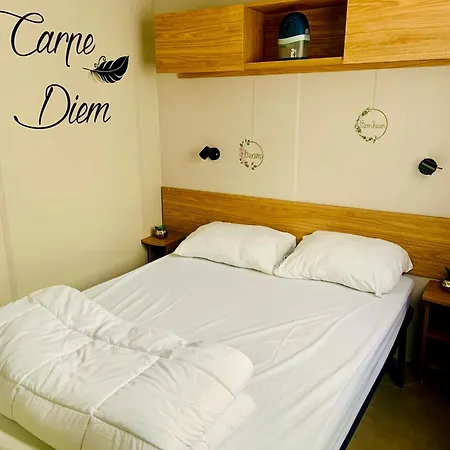 Mobil Luxueux De 3ch - La Pignade 4 Etoiles - Ronce-les-bains - Cote Atlantique