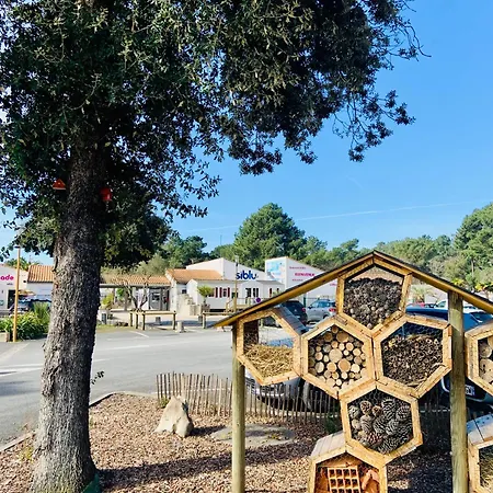 Campsite Mobil Luxueux De 3ch - La Pignade 4 Etoiles - Ronce-les-bains - Cote Atlantique