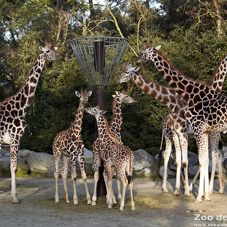Parque de Campismo Mobil Luxueux De 3ch - La Pignade 4 Etoiles - Ronce-les-bains - Cote Atlantique *